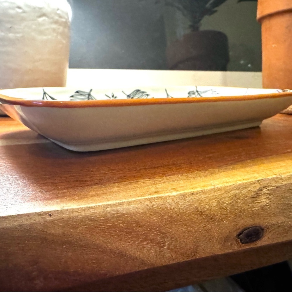 NEW Stoneware Dragonfly and Fern Plate, Black and White, Tray, Decor, gift - Picture 3 of 10